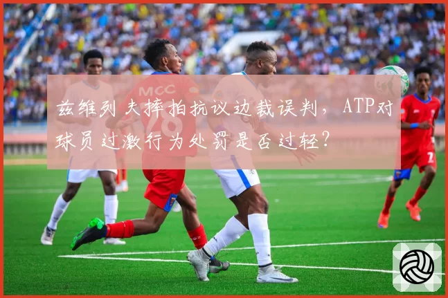 兹维列夫摔拍抗议边裁误判,ATP对球员过激行为处罚是否过轻?